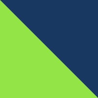 Navy/Lime